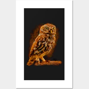 Big-eyed owl, owl symbol of wisdom Posters and Art